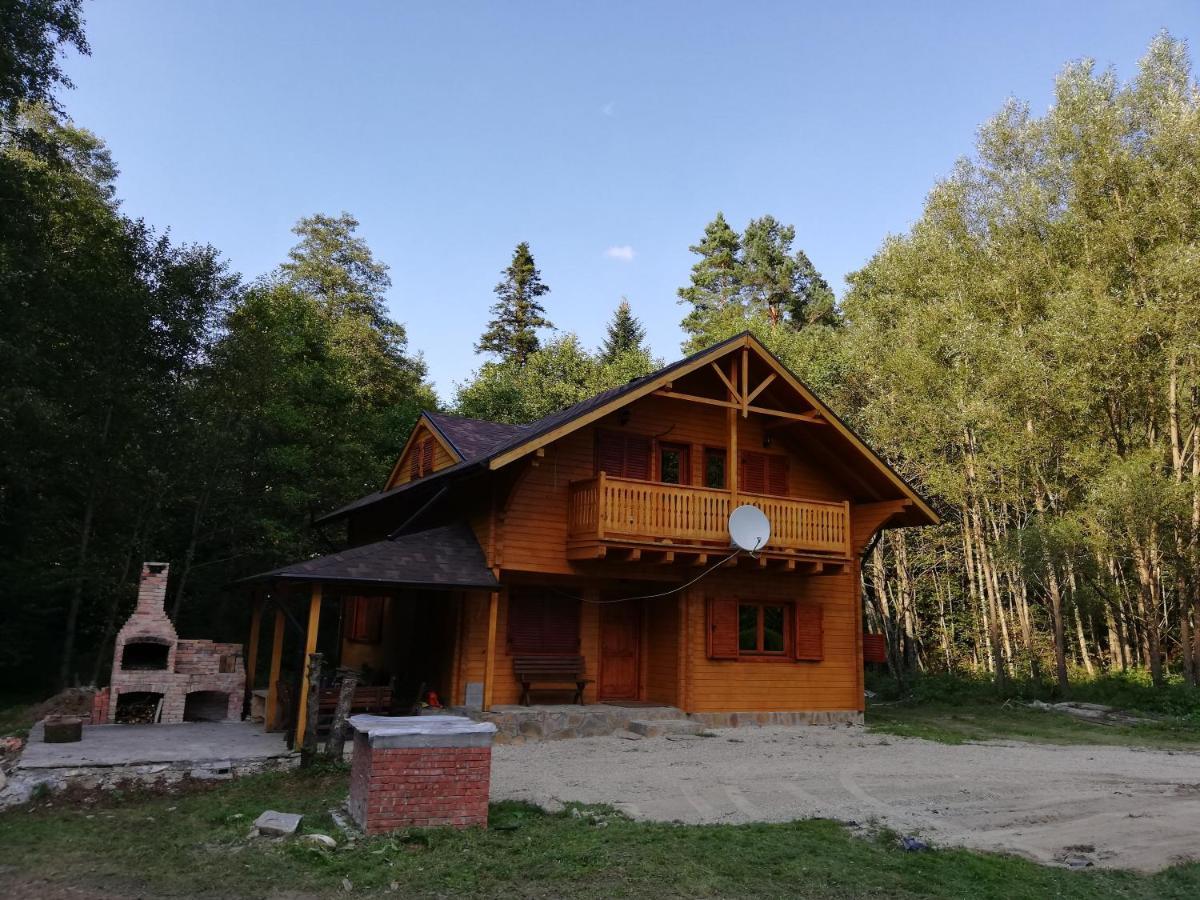 Chalet By The River Valiug Exterior photo