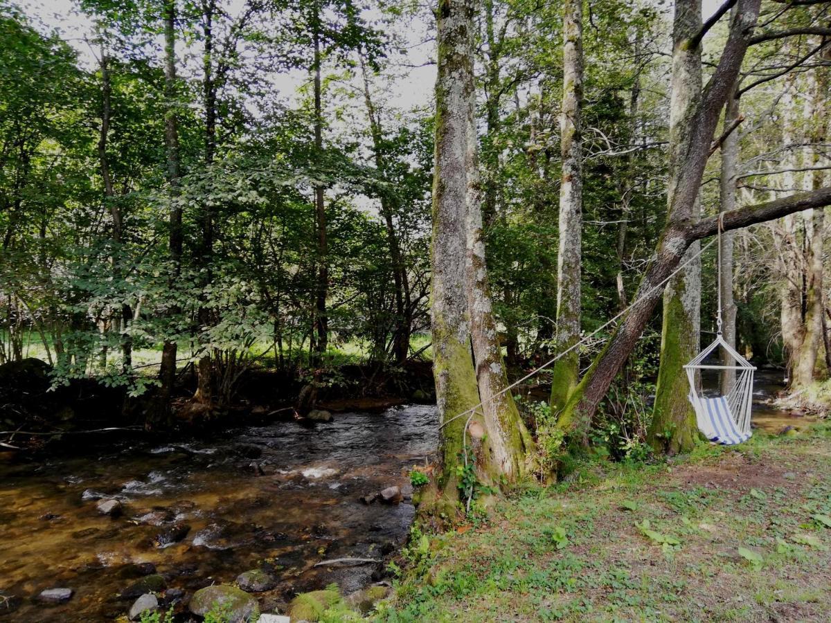 Chalet By The River Valiug Exterior photo