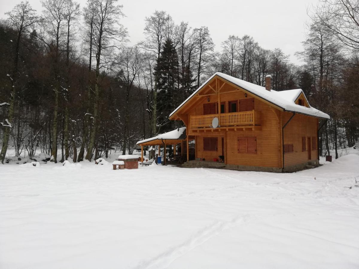 Chalet By The River Valiug Exterior photo