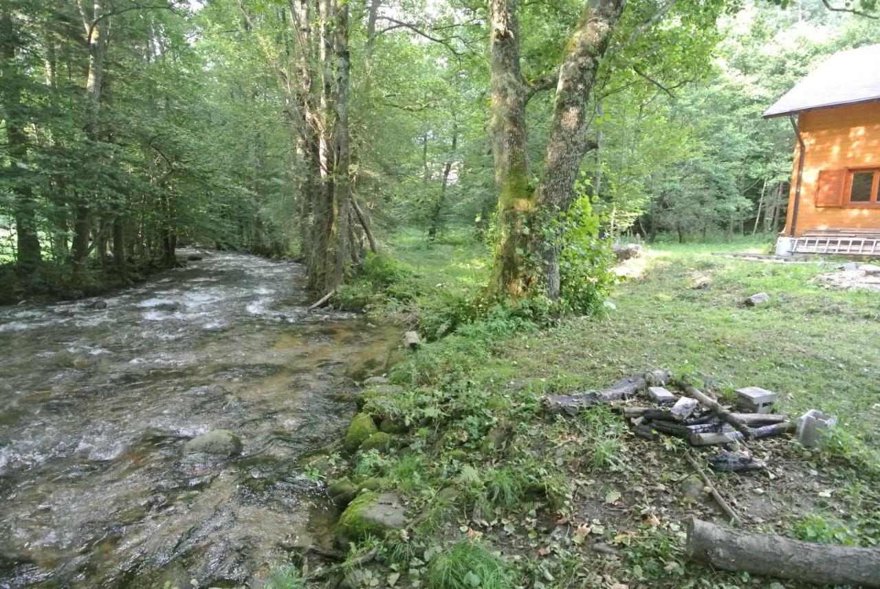 Chalet By The River Valiug Exterior photo