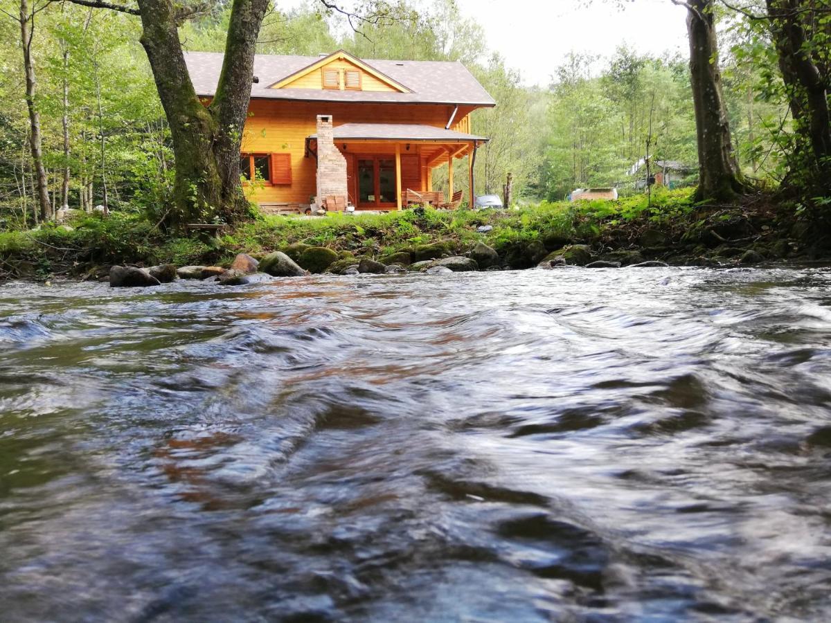 Chalet By The River Valiug Exterior photo