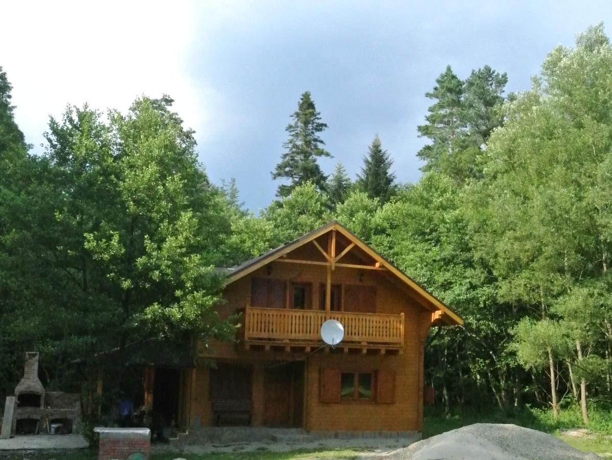 Chalet By The River Valiug Exterior photo